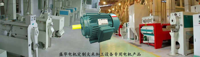 山東電機廠,大米加工設備專用電機,電機定制 山東電機廠,大米加工設備專用電機,電機定制
