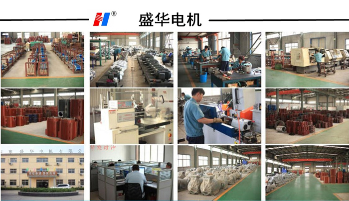 山東盛華電機生產廠家,注塑機專用電機,電機定制