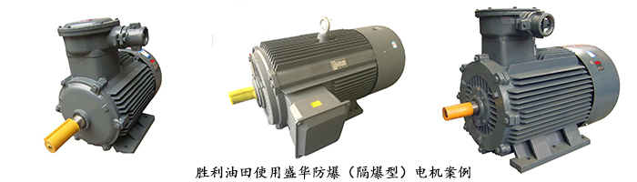 山東電機(jī),大功率電機(jī),防爆電機(jī)