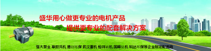 變頻電機生產(chǎn)廠家,變頻調(diào)速電機,山東變頻電機廠
