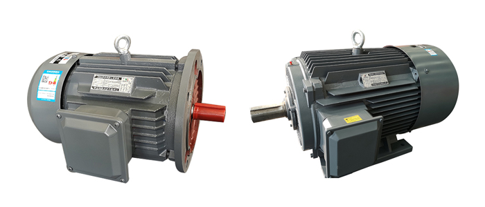 山東電機(jī)廠,盛華電機(jī),三相異步電動(dòng)機(jī),三相電動(dòng)機(jī)