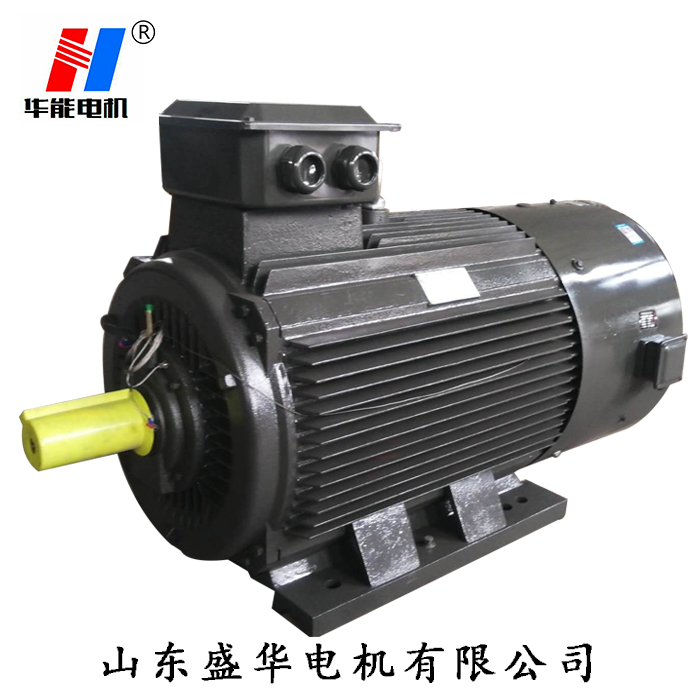 山東電機(jī),三相電動(dòng)機(jī),電動(dòng)機(jī),山東電機(jī)廠,三相異步電動(dòng)機(jī)