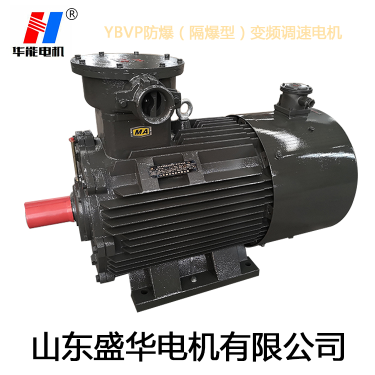 山東電機(jī)廠,盛華電機(jī),耐高溫電動機(jī),三相異步電機(jī)