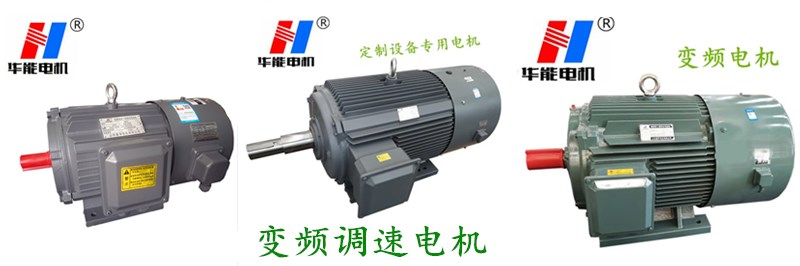 山東盛華-變頻調速電機生產廠家