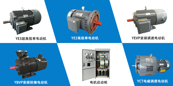 山東盛華電機(jī)廠