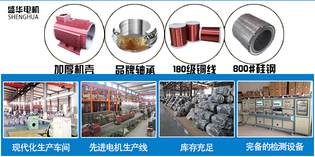 山東盛華電機(jī)廠